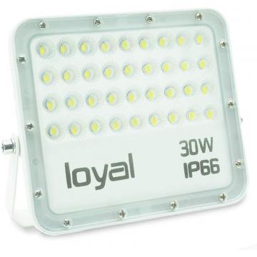 loyal 30W LED spotlight, 2700LM super bright LED spotlight, cold white 6000K, LED floodlight outdoor spotlight, IP66 waterproof floodlight outdoor spotlight for garden, garage, sports field, yard