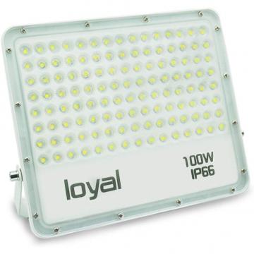 loyal 100W LED spotlight, 9000LM super bright LED spotlight, cold white 6000K, LED floodlight outdoor spotlight, IP66 waterproof floodlight outdoor spotlight for garden, garage, sports field, yard